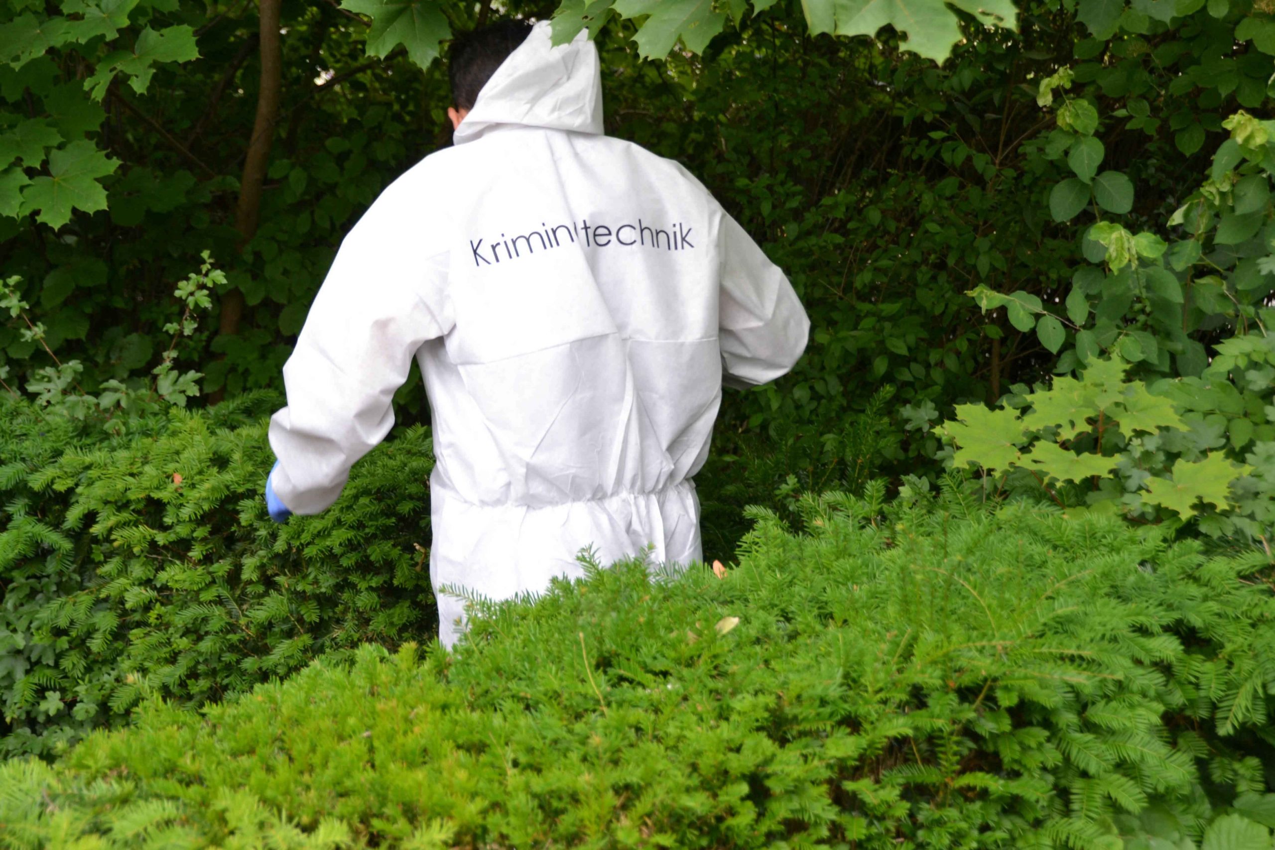Leiche einer Frau im Wald entdeckt – Polizei bittet um Hinweise