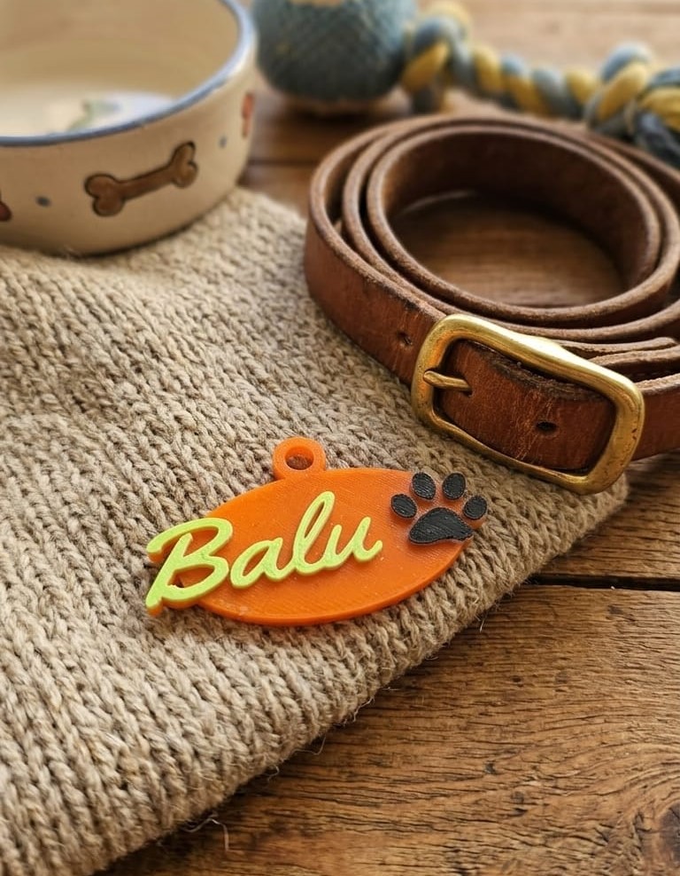 Personalisierbarer Hundeanhänger „Balu“ – Robust & Flexibel