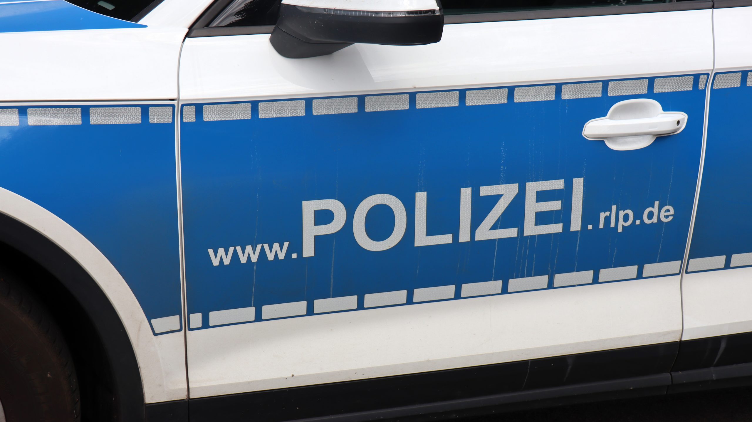 Tödlicher Polizeischuss auf Hund in Ludwigshafen: Polizeipräsidium räumt Fehler ein und ermittelt intern