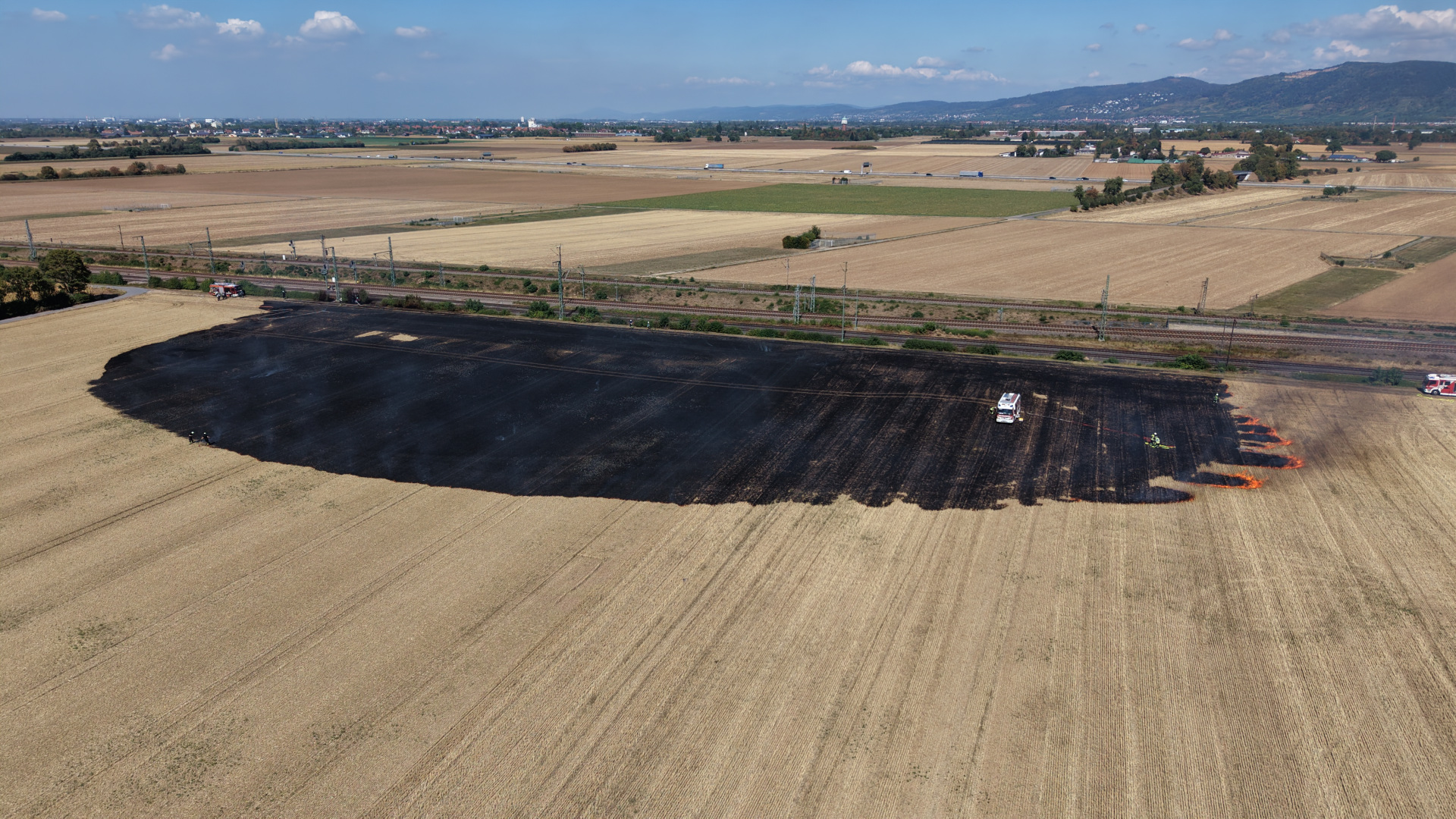 Vegetationsbrand entlang der Bahntrasse in Heidelberg